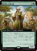 並外れた語り部/Formidable Speaker 【日本語・NM〜EX-】 (ECL)【拡張アート版】《Foil》【GW SALE】