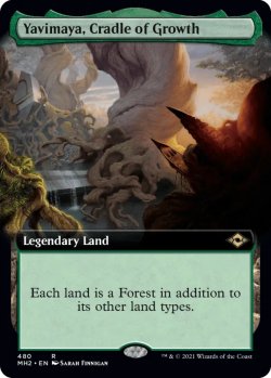 画像1: 成長の揺り篭、ヤヴィマヤ/Yavimaya, Cradle of Growth 【英語・NM〜EX-】 (MH2)【拡張版】《Foil》【GW SALE】