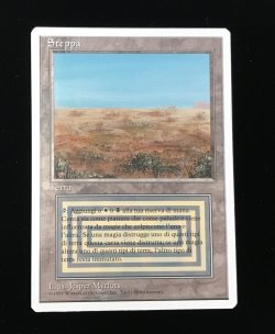 画像2: Scrubland 【他言語・NM〜NM-】 (3ED)【GW SALE】
