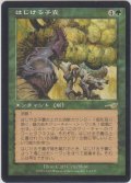 はじける子嚢/Saproling Burst 【日本語・PLD】 (NEM)【GW SALE】