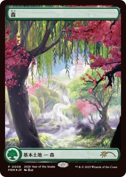 画像1: 森/Forest (干支プロモ)