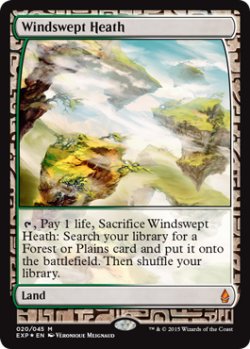 画像1: 吹きさらしの荒野/Windswept Heath 【NM〜NM-】 (EXP)【カウントダウン】
