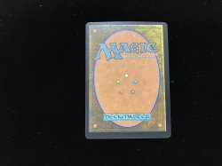 画像3: 吹きさらしの荒野/Windswept Heath 【NM〜NM-】 (EXP)【カウントダウン】
