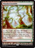 樹木茂る山麓/Wooded Foothills 【NM〜NM-】 (EXP)【カウントダウン】