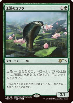 画像1: 水蓮のコブラ/Lotus Cobra (干支プロモ)