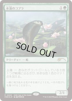 画像1: 水蓮のコブラ/Lotus Cobra (干支プロモ)