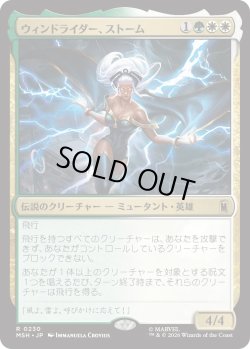 画像1: ウィンドライダー、ストーム/Storm, Windrider (MSH)