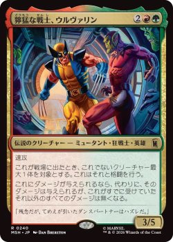 画像1: 獰猛な戦士、ウルヴァリン/Wolverine, Fierce Fighter (MSH)