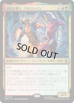 画像1: 獰猛な戦士、ウルヴァリン/Wolverine, Fierce Fighter (MSH)