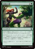 仕置きの拳/Punishing Punch (MSH)