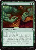超怪力/Super Strength (MSH)