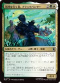 先陣を行く者、ブラックパンサー/Black Panther, Vanguard (MSH)