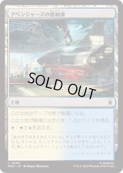 画像1: アベンジャーズの格納庫/Avengers Hangar (MSH)