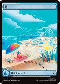 島/Island 【No.280】 (MSH)