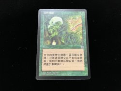 画像2: 森の教示者/Sylvan Tutor 【他言語・NM〜EX-】 (POR)【カウントダウン】