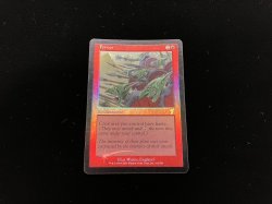 画像2: 熱情/Fervor 【英語・NM〜EX-】 (7ED)《Foil》【カウントダウン】