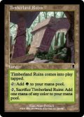 森林地の廃墟/Timberland Ruins (ODY)《Foil》