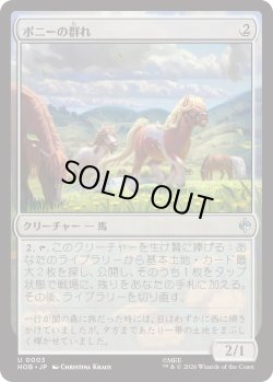 画像1: ポニーの群れ/Troop of Ponies (HOB)