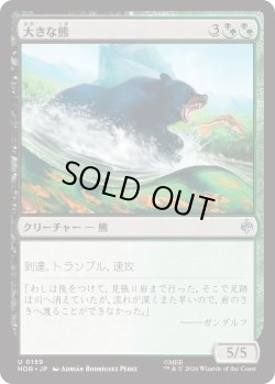 画像1: 大きな熊/Large Bear (HOB)