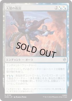 画像1: 大鷲の救出/Eagle's Rescue (HOB)