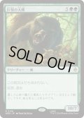 巨怪の大熊/Gigantic Big Bear (HOB)