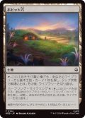 ホビット穴/Hobbit Hole (HOB)