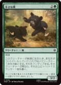小さな熊/Little Bear (HOB)
