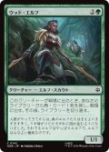 ウッド・エルフ/Wood Elves (HOB)