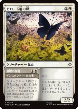 画像1: ビロード羽の蝶/Velvetwing Butterflies (HOB)