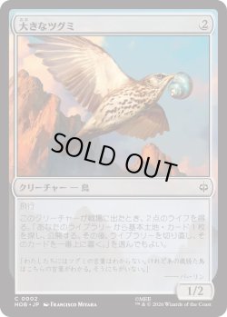 画像1: 大きなツグミ/Old Thrush (HOB)