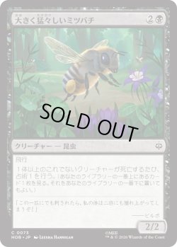 画像1: 大きく猛々しいミツバチ/Great Fierce Bee (HOB)