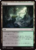 闇の森/Mirkwood (HOB)