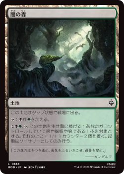 画像1: 闇の森/Mirkwood (HOB)