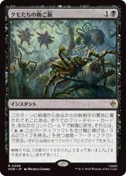画像1: クモたちの晩ご飯/Supper for Spiders (HOB)《Foil》
