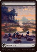 沼/Swamp 【No.196】 (HOB)