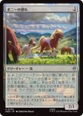 ポニーの群れ/Troop of Ponies (HOB)《Foil》