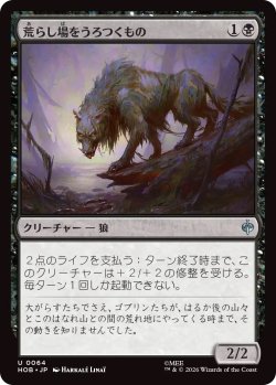 画像1: 荒らし場をうろつくもの/Desolation Prowler (HOB)《Foil》