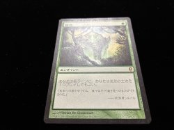 画像2: 踏査/Exploration 【日本語・HPLD】 (CNS)【SUMMER SALE】