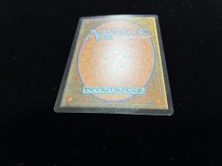 画像3: ヒッコリーの植林地/Hickory Woodlot 【英語・HPLD】 (MMQ)《Foil》【SUMMER SALE】
