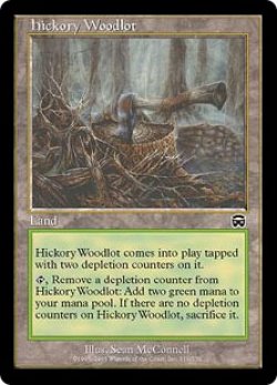 画像1: ヒッコリーの植林地/Hickory Woodlot 【英語・HPLD】 (MMQ)《Foil》【SUMMER SALE】