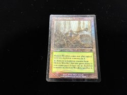画像2: ヒッコリーの植林地/Hickory Woodlot 【英語・HPLD】 (MMQ)《Foil》【SUMMER SALE】