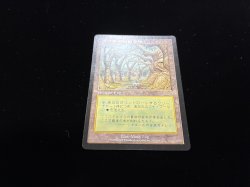 画像2: ガイアの揺籃の地/Gaea's Cradle 【日本語・PLD】 (USG)【カウントダウン】