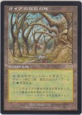 ガイアの揺籃の地/Gaea's Cradle 【日本語・PLD】 (USG)【カウントダウン】