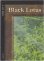画像1: Black Lotus 【Ultra Pro Puzzle Cards・1/9】 (その他 プロモ) (1)
