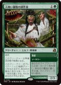 人喰い植物の耕作者/Carnivorous Cultivator (FRA)