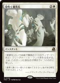 芽吹く補充兵/Germinate Recruits (FRA)