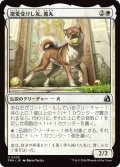 寵愛受けし友、義丸/Yoshimaru, Beloved Companion (FRA)