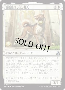 画像1: 寵愛受けし友、義丸/Yoshimaru, Beloved Companion (FRA)