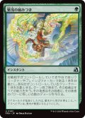 繁茂の組みつき/Flourishing Grapple (FRA)