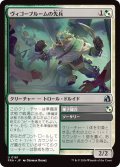 ヴィゴーブルームの先兵/Vigorbloom Vanguard (FRA)